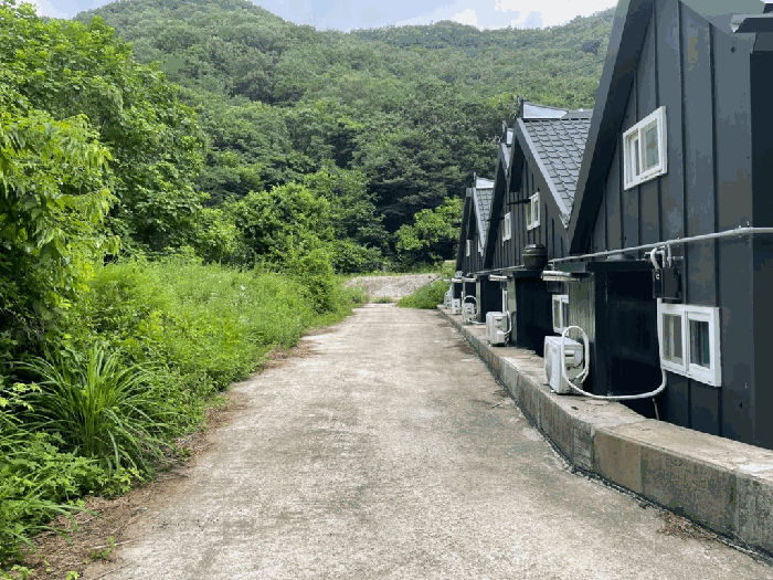 전북특별자치도 완주군 상관면 죽림리 산187 외 2필지 임야 경매 사진 9