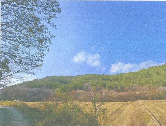전라남도 강진군 대구면 저두리 산20 임야 경매 사진 7