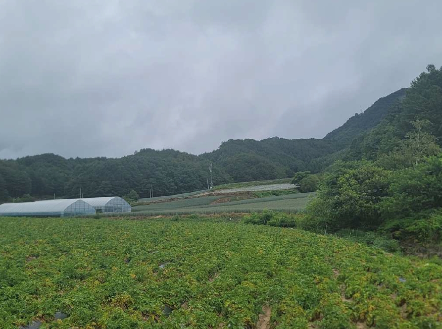 강원특별자치도 평창군 진부면 송정리 1799 전 경매 사진 1