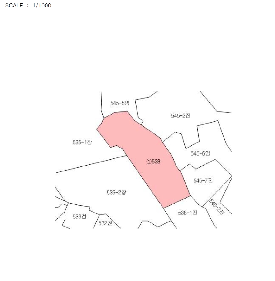 경상남도 창녕군 대합면 평지리 538 전 경매 사진 23