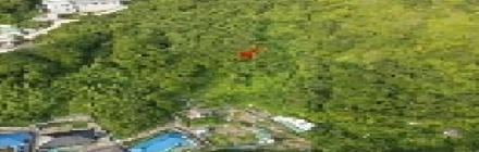 전라남도 신안군 흑산면 가거도리 204-4 전 경매 사진 9