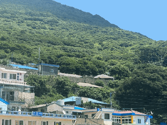 전라남도 신안군 흑산면 가거도리 204-4 전 경매 사진 13
