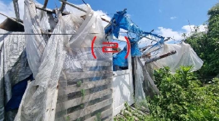 제주특별자치도 서귀포시 남원읍 위미리 800 외 1필지 대지 경매 사진 8