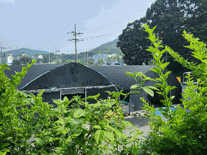 경기도 양주시 백석읍 방성리 471-3 외 2필지 전 경매 사진 14