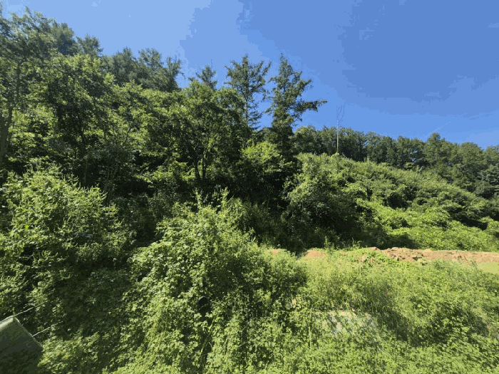 강원특별자치도 춘천시 남면 발산리 512 임야 경매 사진 6