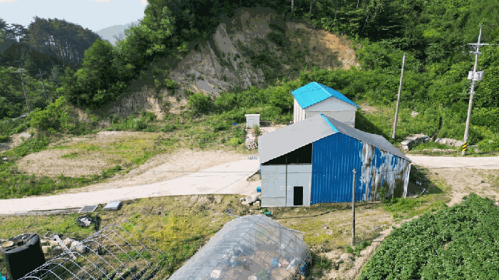 강원특별자치도 평창군 진부면 두일리 878-2 전 경매 사진 15