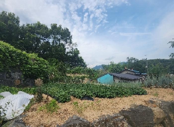 충청북도 옥천군 동이면 남곡리 산89 외 1필지 임야 경매 사진 1