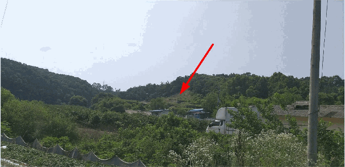 충청북도 옥천군 동이면 남곡리 산89 외 1필지 임야 경매 사진 11