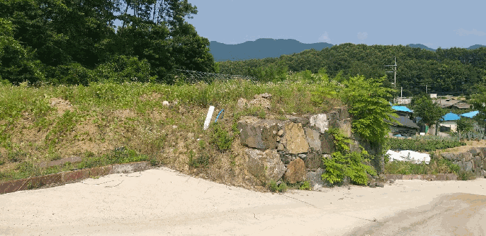 충청북도 옥천군 동이면 남곡리 산89 외 1필지 임야 경매 사진 13