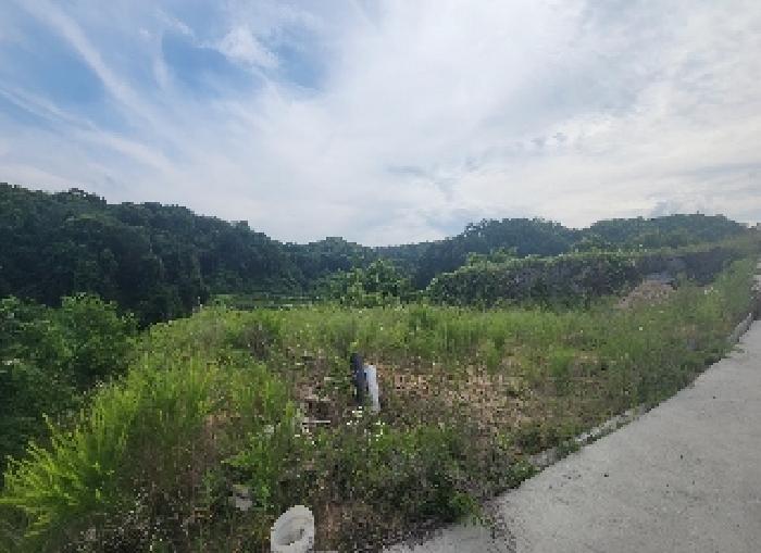 충청북도 옥천군 동이면 남곡리 산89 외 1필지 임야 경매 사진 3