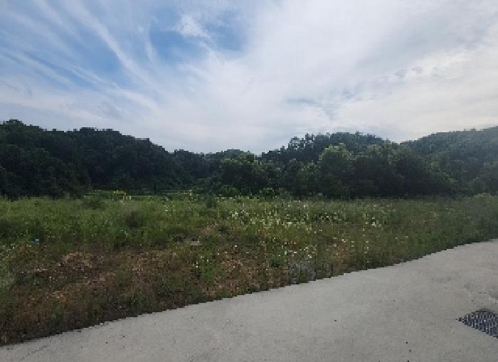 충청북도 옥천군 동이면 남곡리 산89 외 1필지 임야 경매 사진 5