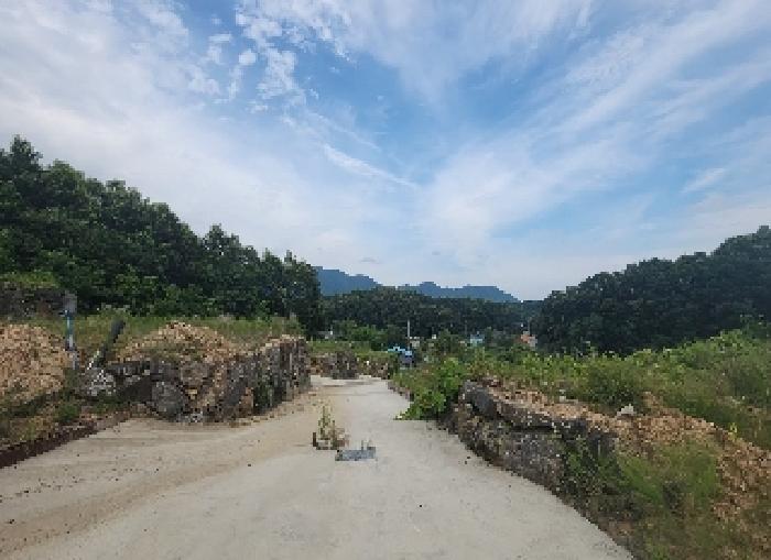 충청북도 옥천군 동이면 남곡리 산89 외 1필지 임야 경매 사진 6