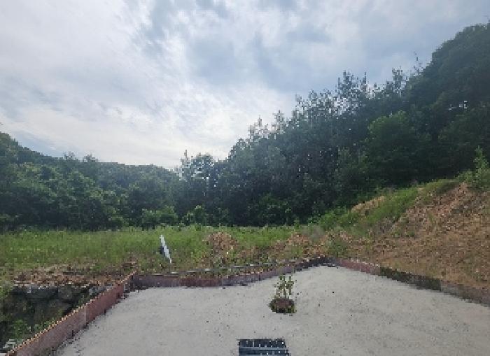 충청북도 옥천군 동이면 남곡리 산89 외 1필지 임야 경매 사진 7