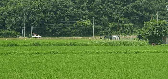 충청남도 천안시 동남구 풍세면 남관리 312 외 5필지 답 경매 사진 14