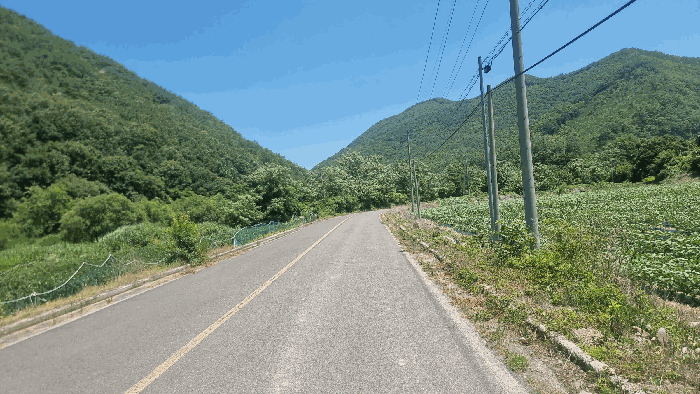 경상북도 포항시 북구 죽장면 하사리 산75 임야 경매 사진 16