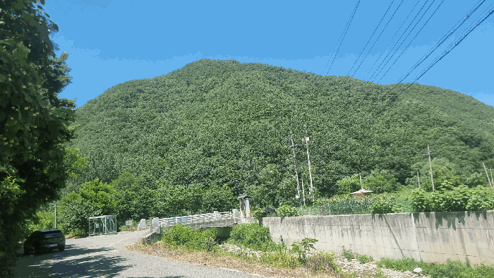 경상북도 포항시 북구 죽장면 하사리 산75 임야 경매 사진 17