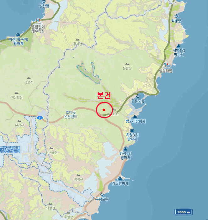 경상북도 포항시 남구 구룡포읍 병포리 산24-4 임야 경매 사진 13