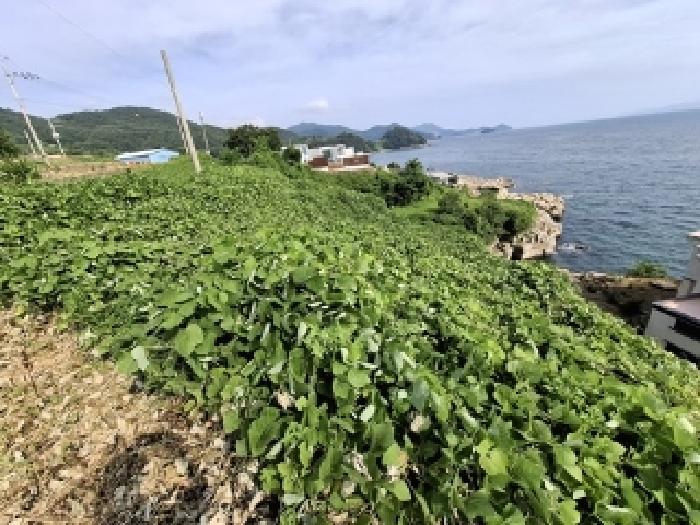 경상남도 남해군 서면 작장리 200-2 답 경매 사진 23