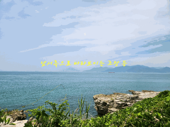 경상남도 남해군 서면 작장리 200-2 답 경매 사진 29