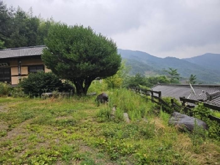 경상남도 하동군 청암면 묵계리 1095 외 16필지 교육연구시설 경매 사진 2