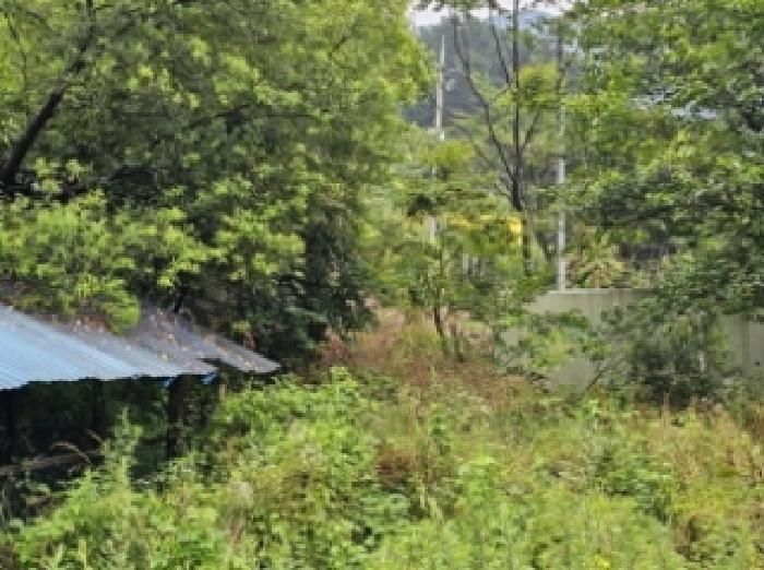 경상남도 하동군 청암면 묵계리 1095 외 16필지 교육연구시설 경매 사진 22