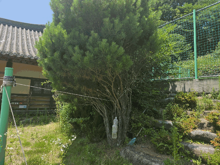 경상남도 하동군 청암면 묵계리 1095 외 16필지 교육연구시설 경매 사진 33