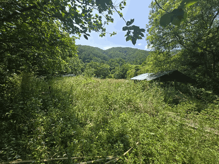 경상남도 하동군 청암면 묵계리 1095 외 16필지 교육연구시설 경매 사진 34