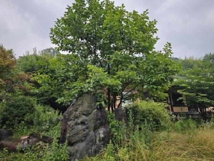 경상남도 하동군 청암면 묵계리 1095 외 16필지 교육연구시설 경매 사진 6