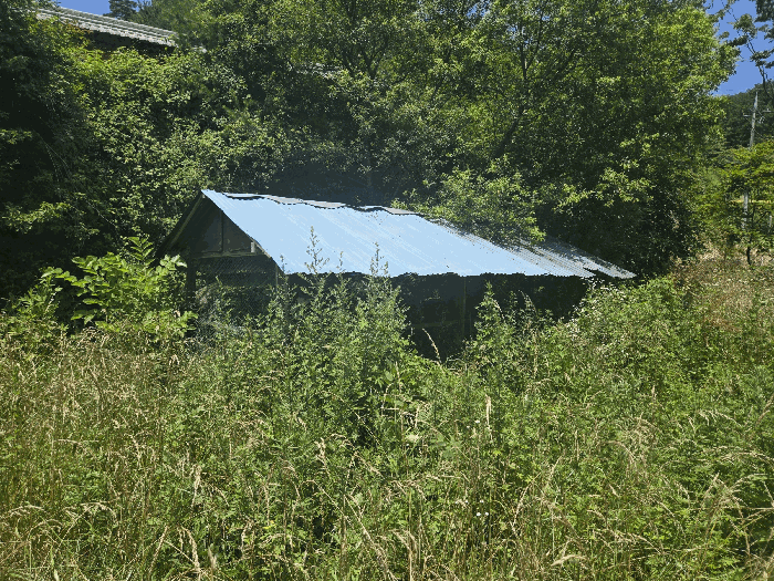 경상남도 하동군 청암면 묵계리 1095 외 16필지 교육연구시설 경매 사진 63