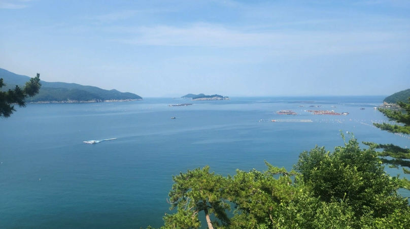 경남 남해군 미조면 송정리 어업권 경매 사진 2