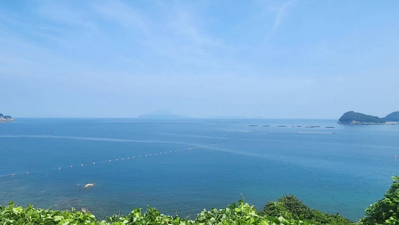 경남 남해군 미조면 송정리 어업권 경매 사진 3