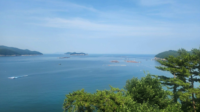경남 남해군 미조면 송정리 어업권 경매 사진 4