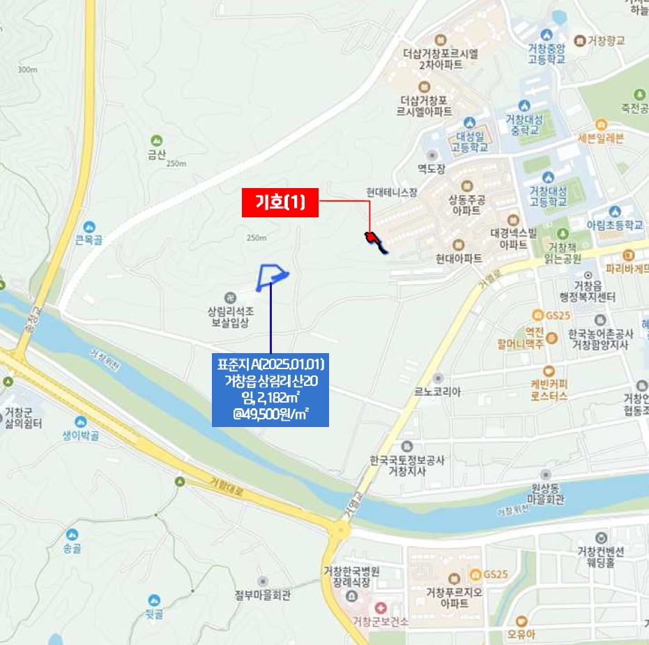 경상남도 거창군 거창읍 상림리 산11-2 임야 경매 사진 21