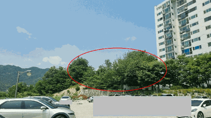 경상남도 거창군 거창읍 상림리 산11-2 임야 경매 사진 17