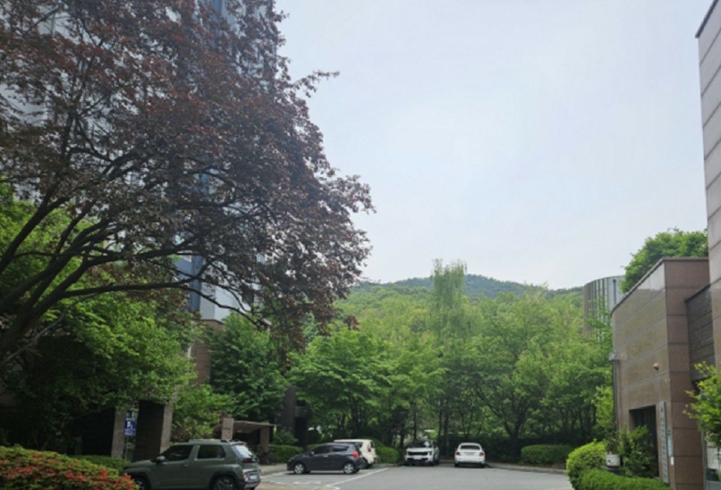 경기도 과천시 관문동 산11-13 임야 경매 사진 36