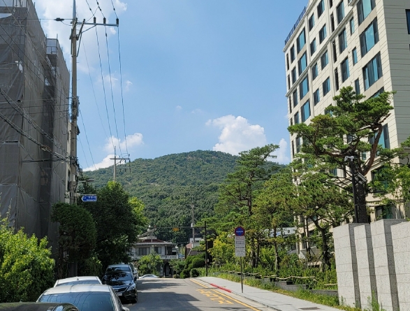 경기도 과천시 관문동 산11-13 임야 경매 사진 53