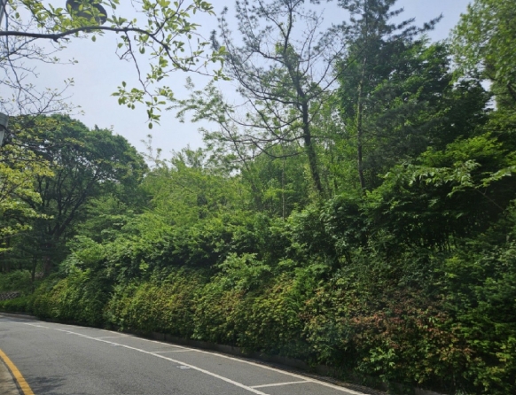 경기도 과천시 관문동 산11-13 임야 경매 사진 37