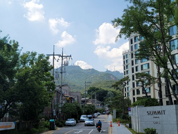 경기도 과천시 관문동 산11-13 임야 경매 사진 55