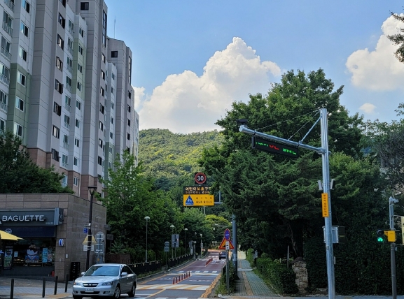 경기도 과천시 관문동 산11-13 임야 경매 사진 56