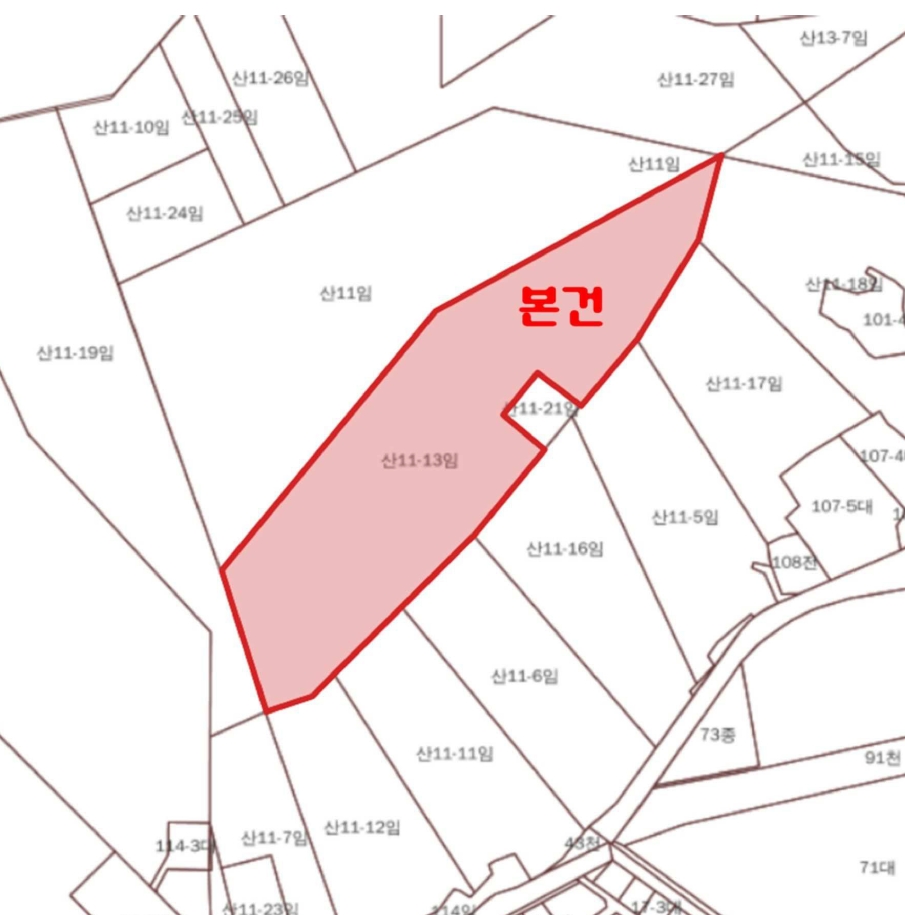 경기도 과천시 관문동 산11-13 임야 경매 사진 66