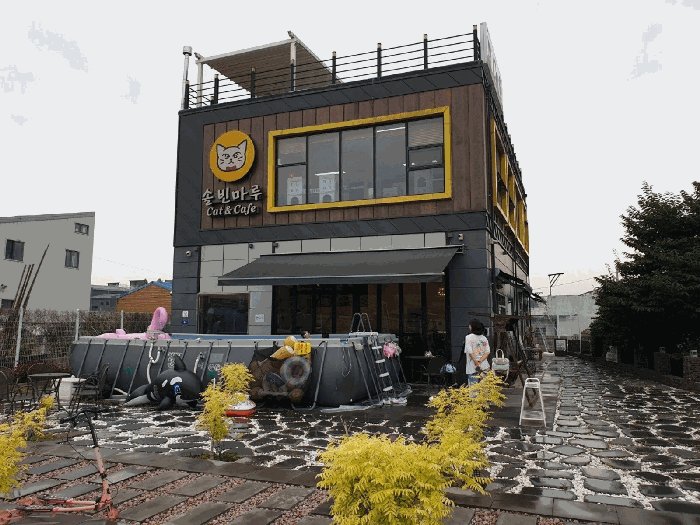 경기도 김포시 북변동 169-1 외 1필지 상가주택 경매 사진 13