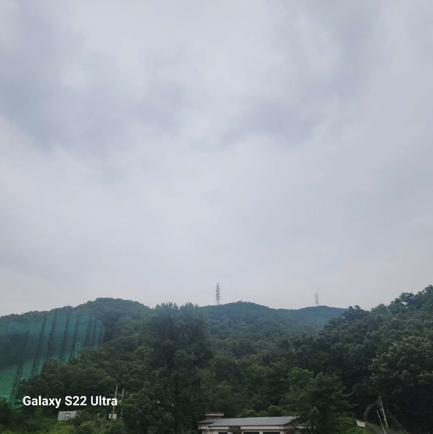 경기도 광주시 초월읍 지월리 산55-5 임야 경매 사진 17