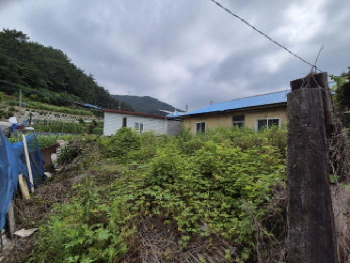 세종특별자치시 부강면 등곡리 323-4 전 경매 사진 24