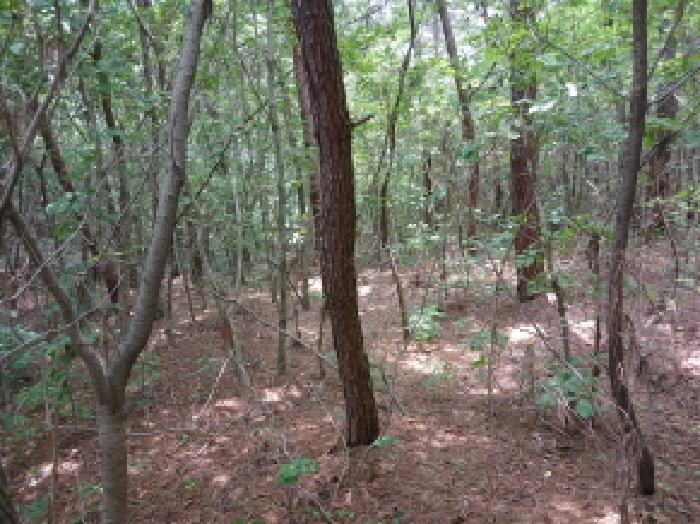 충청남도 서산시 대산읍 대로리 230-2 외 14필지 임야 경매 사진 12