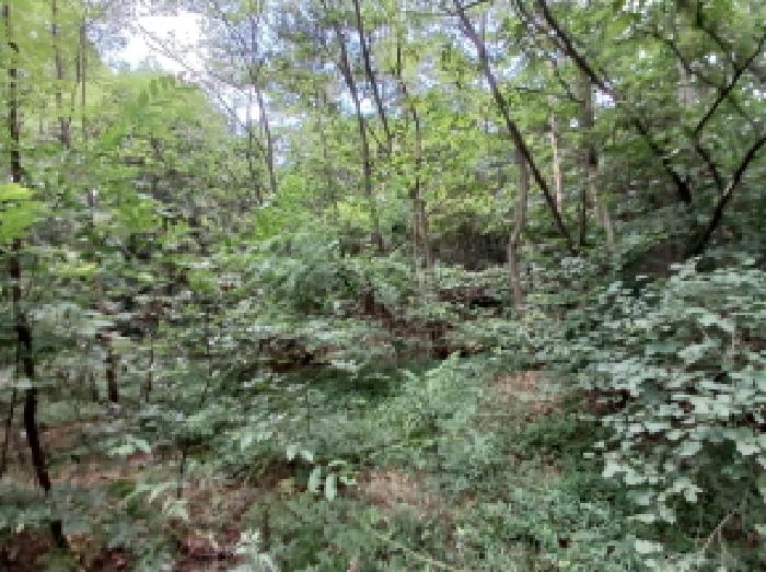 충청남도 서산시 대산읍 대로리 230-2 외 14필지 임야 경매 사진 14