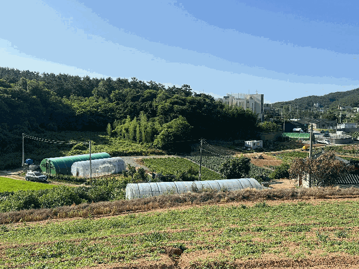 충청남도 서산시 대산읍 대로리 230-2 외 14필지 임야 경매 사진 20