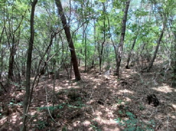충청남도 서산시 대산읍 대로리 230-2 외 14필지 임야 경매 사진 3