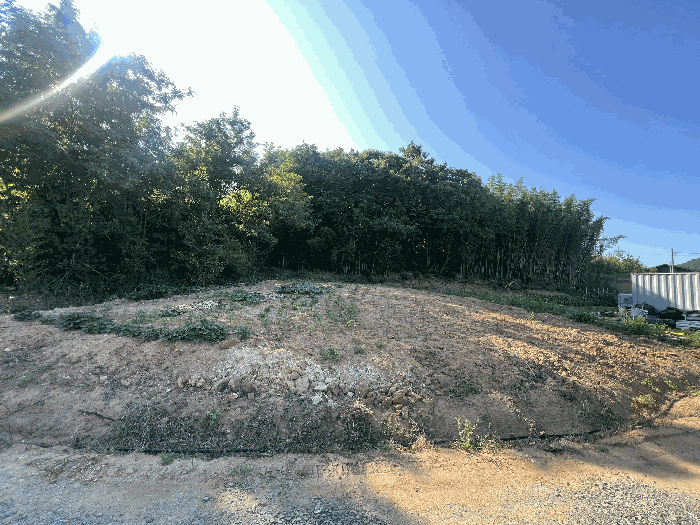 충청남도 서산시 대산읍 대로리 230-2 외 14필지 임야 경매 사진 22