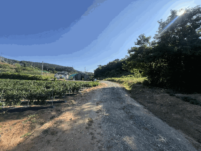 충청남도 서산시 대산읍 대로리 230-2 외 14필지 임야 경매 사진 27