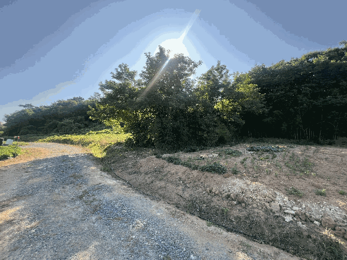 충청남도 서산시 대산읍 대로리 230-2 외 14필지 임야 경매 사진 28